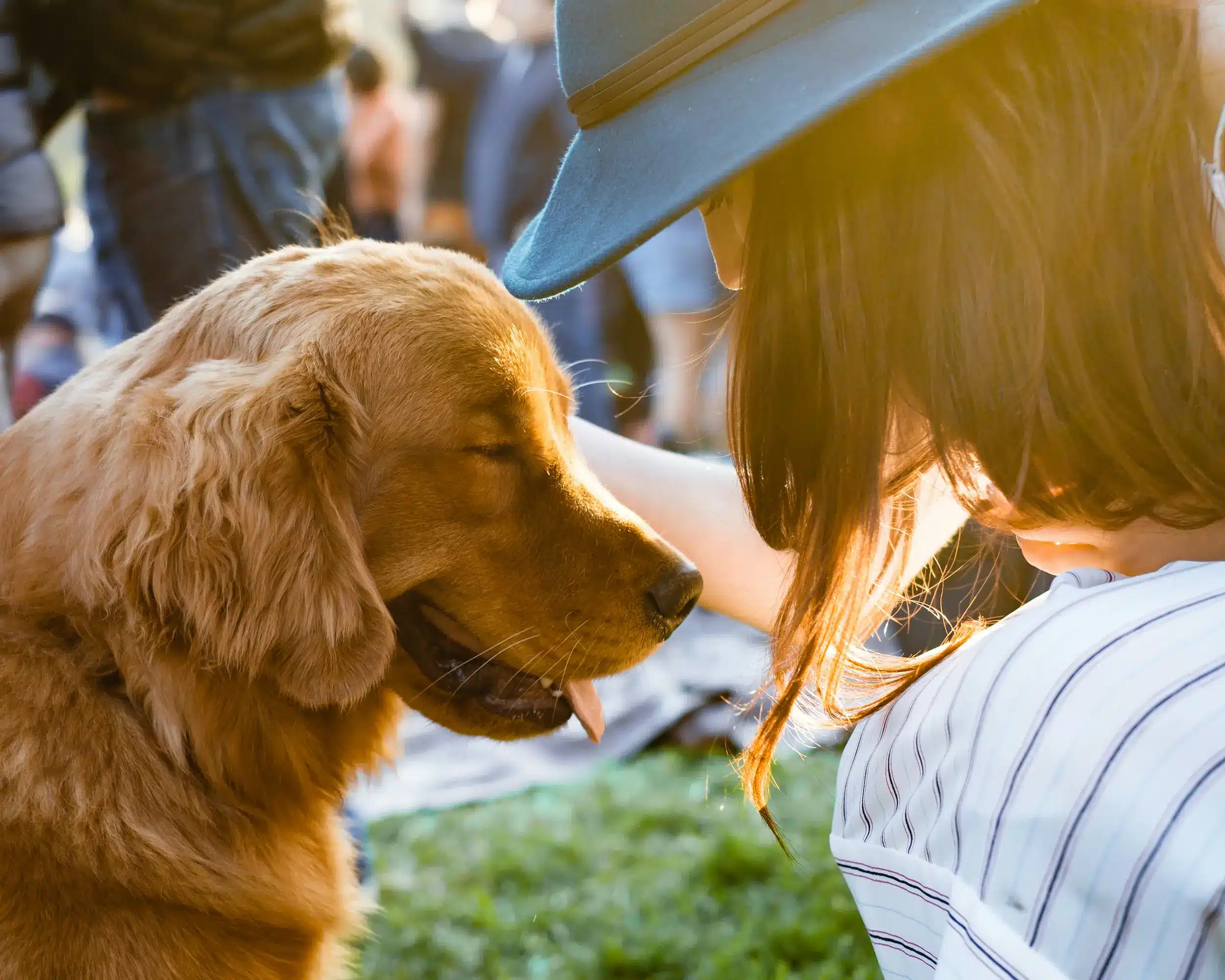 Parque para perros